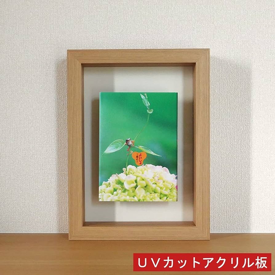 Amazon.co.jp: デコレーション ブックフレーム 本の表紙を飾る